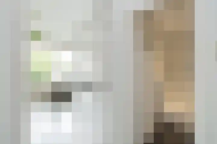 Floralaan 47 Oegstgeest thumbnail 22
