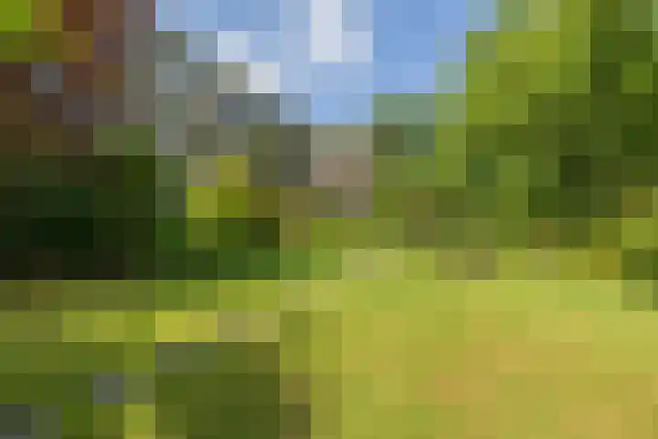 Floralaan 47 Oegstgeest thumbnail 27