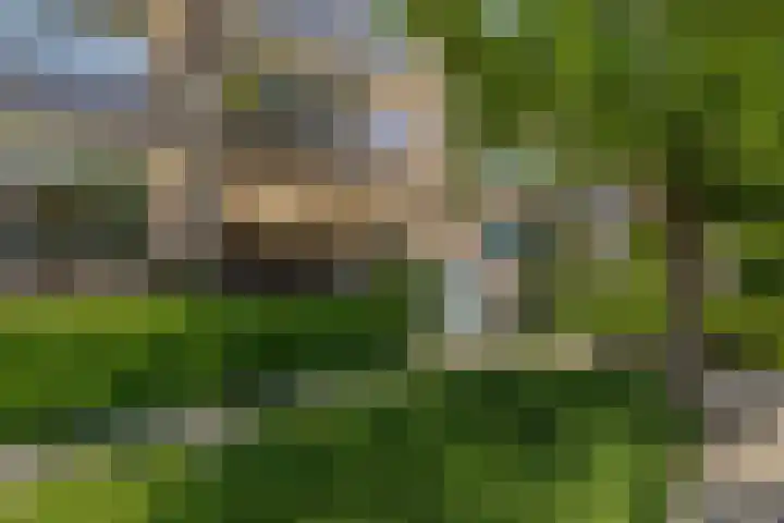 Floralaan 47 Oegstgeest thumbnail 31