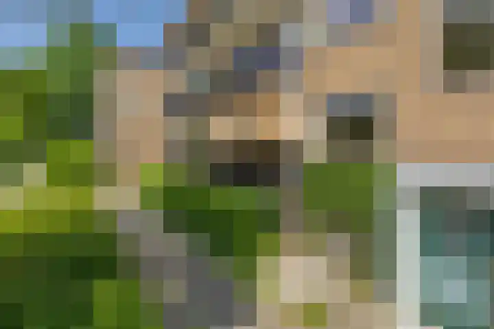 Floralaan 47 Oegstgeest thumbnail 4