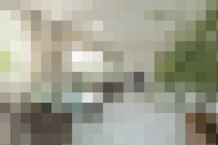 Floralaan 47 Oegstgeest thumbnail 8