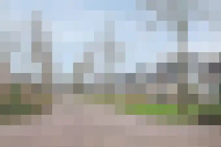Floralaan 6 Bovensmilde thumbnail 41
