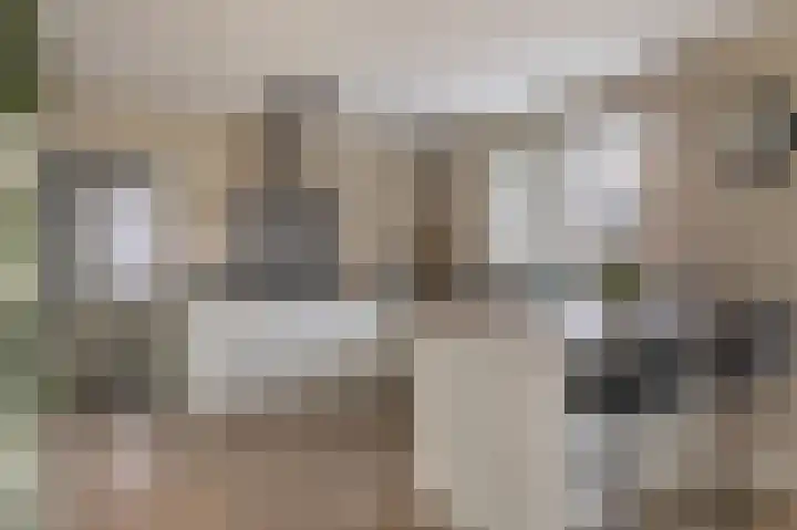 Floralaan 6 Bovensmilde thumbnail 8