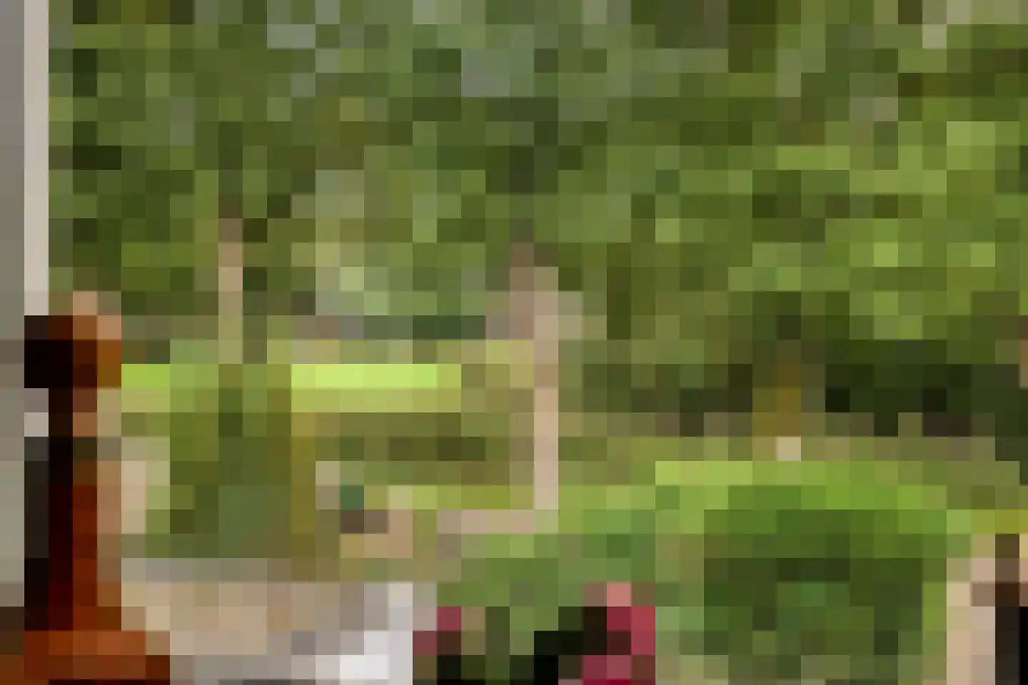 Floralaan 6 Veenendaal thumbnail 19