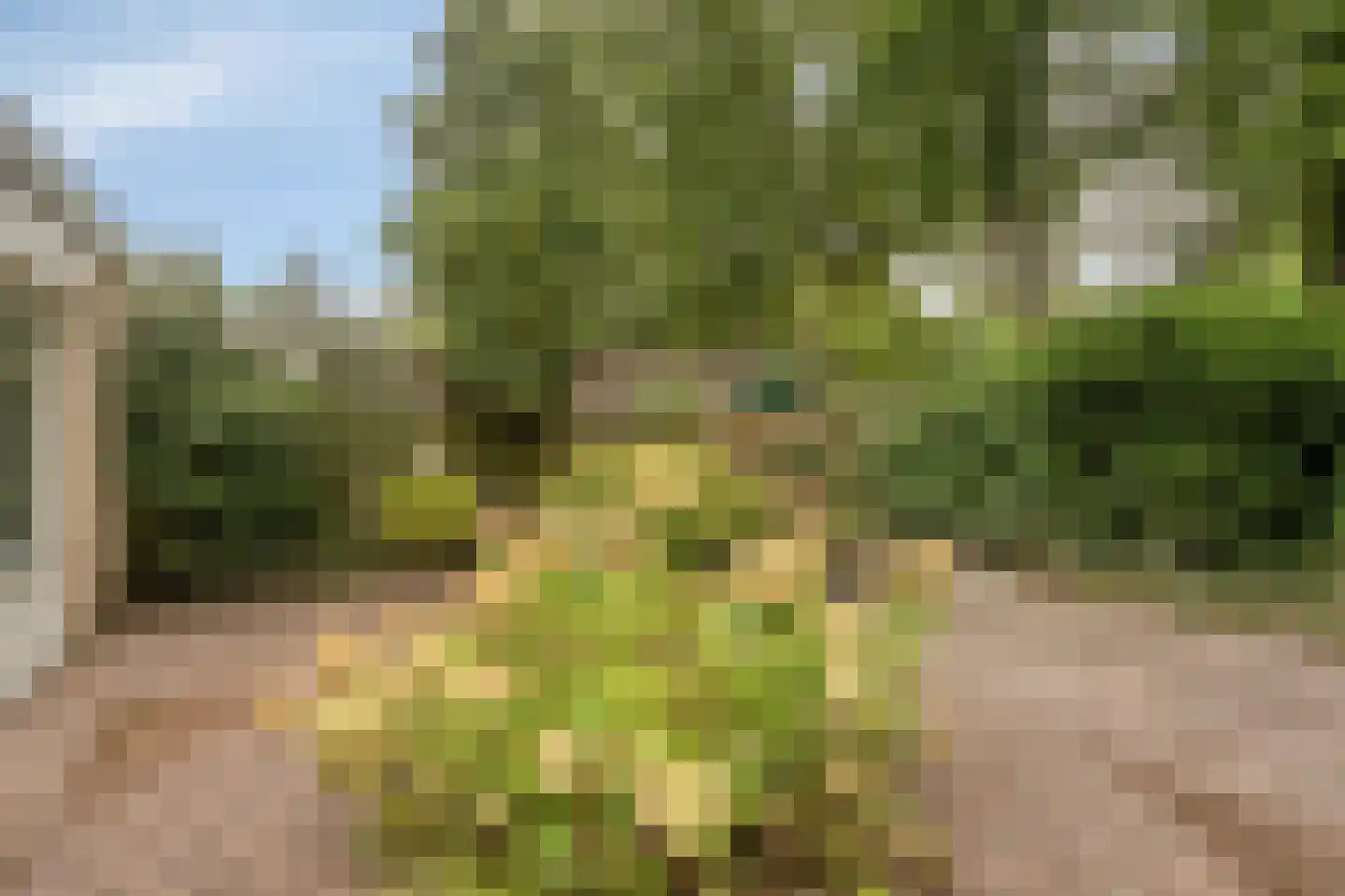 Floralaan 6 Veenendaal thumbnail 25