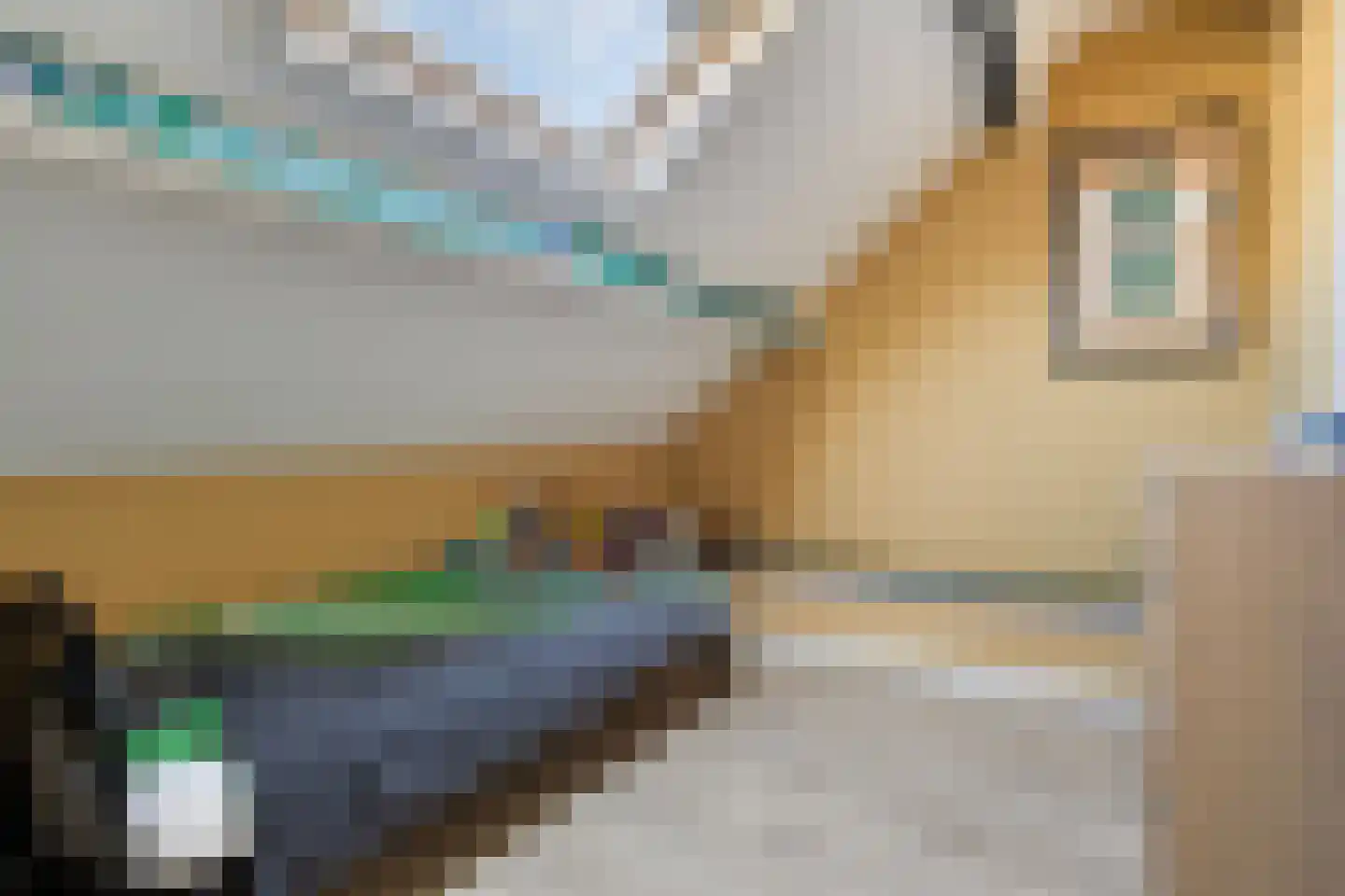 Floralaan 67 Musselkanaal thumbnail 41