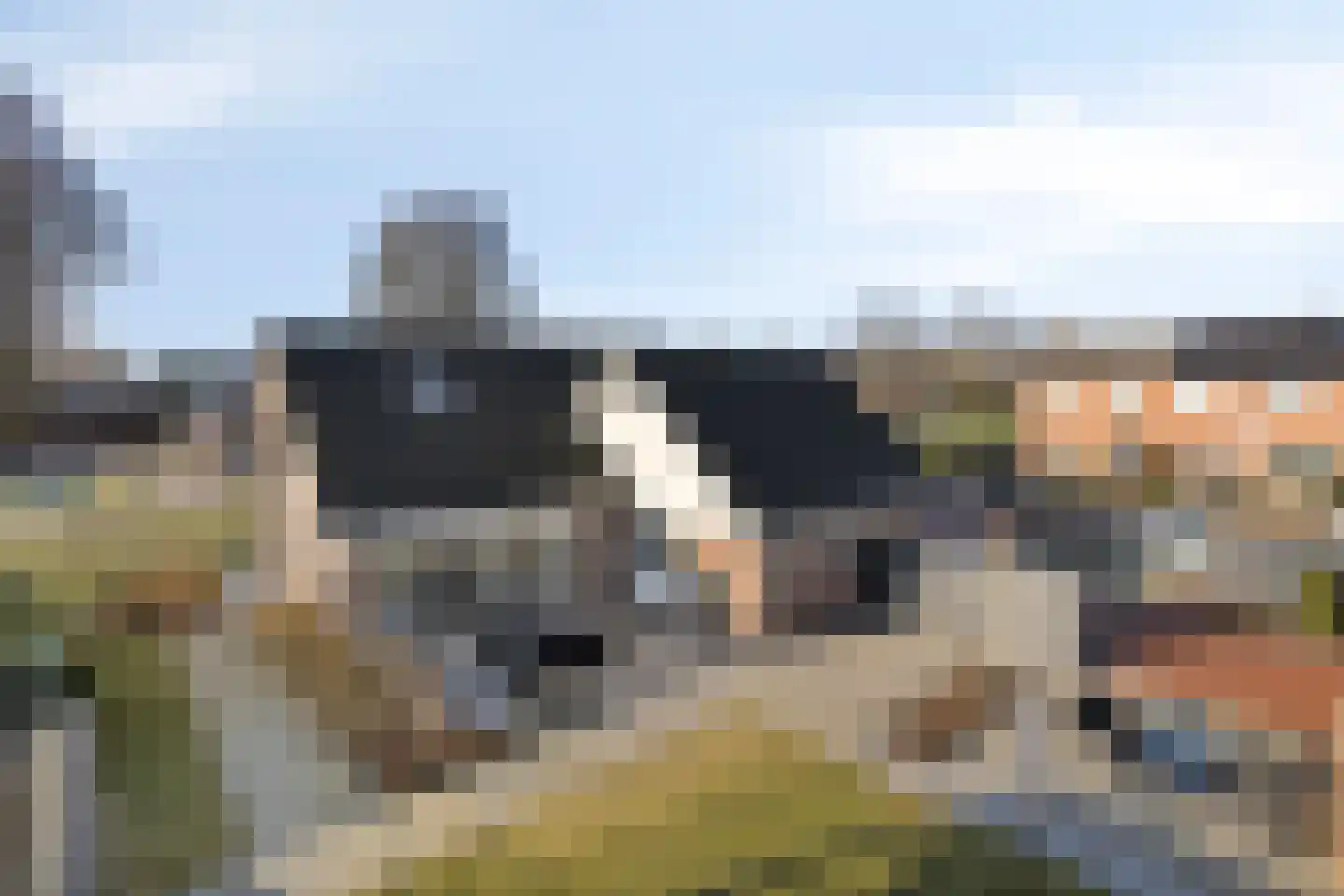 Floralaan 67 Musselkanaal thumbnail 7