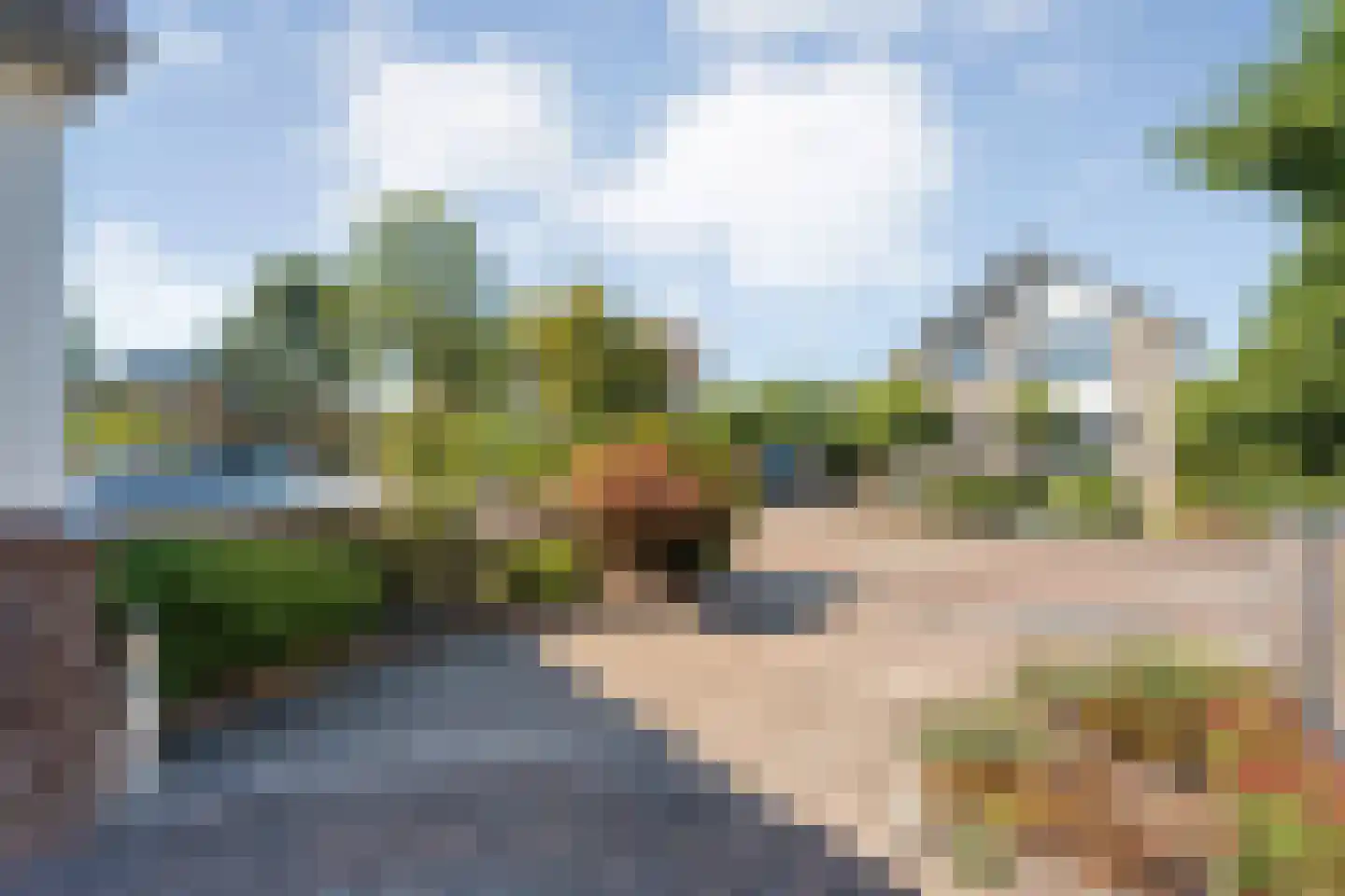 Floralaan 68 Hardenberg thumbnail 43