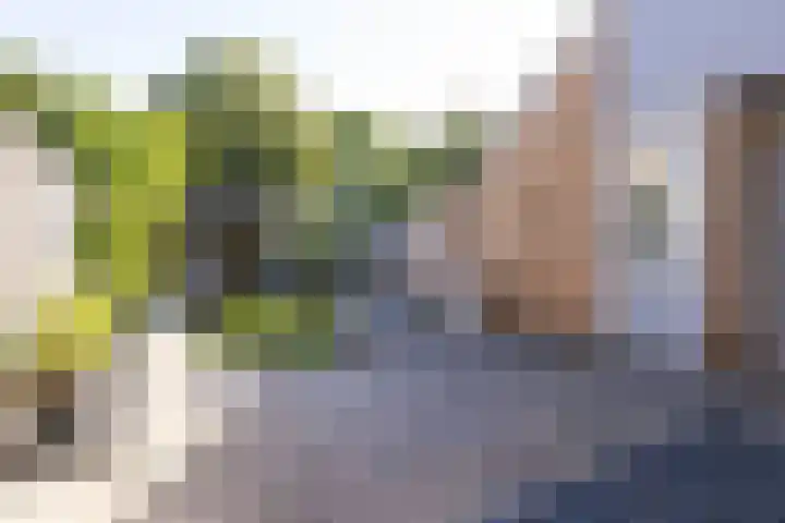 Floralaan 72 Wervershoof thumbnail 18