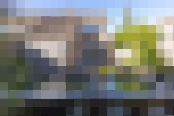 Floralaan 72 Wervershoof thumbnail 20