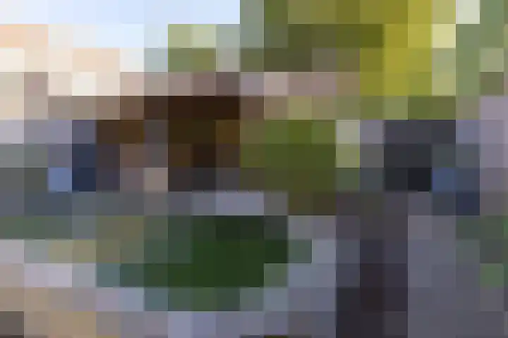 Floralaan 72 Wervershoof thumbnail 21