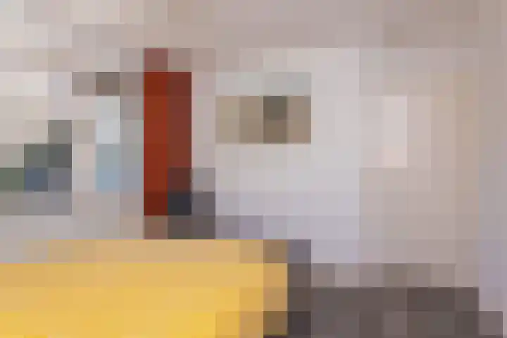 Floralaan 72 Wervershoof thumbnail 33