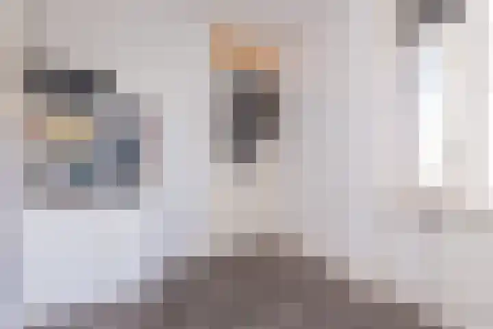 Floralaan 72 Wervershoof thumbnail 35