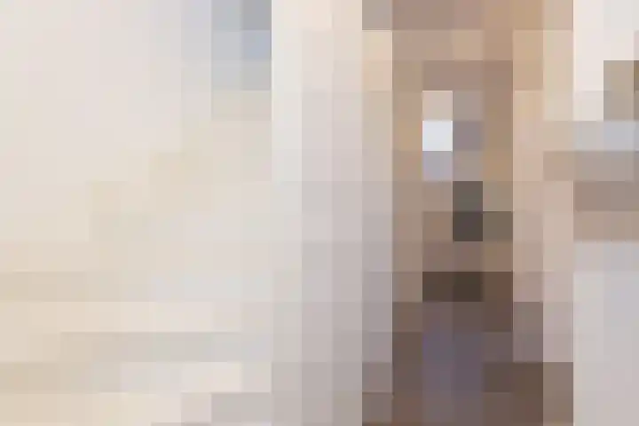 Floralaan 72 Wervershoof thumbnail 36