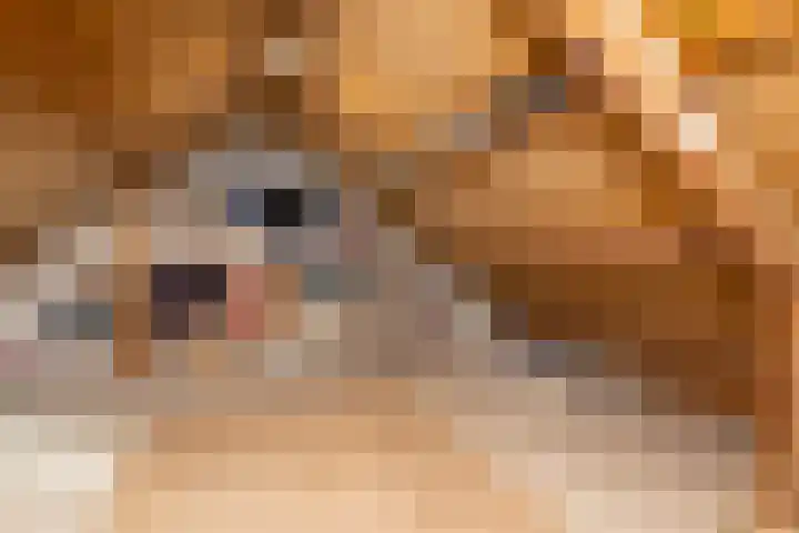 Floralaan 72 Wervershoof thumbnail 37