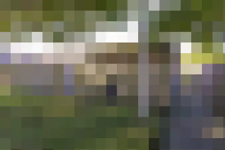 Floralaan 72 Wervershoof thumbnail 39