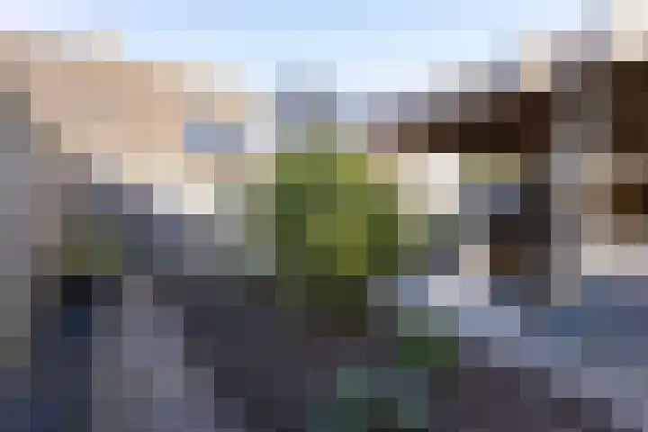 Floralaan 72 Wervershoof thumbnail 4