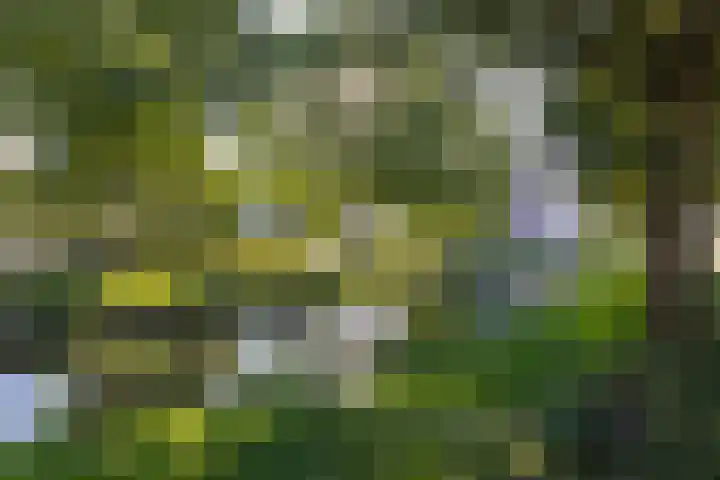 Floralaan 72 Wervershoof thumbnail 40