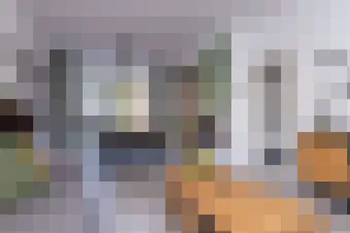 Floralaan 72 Wervershoof thumbnail 6