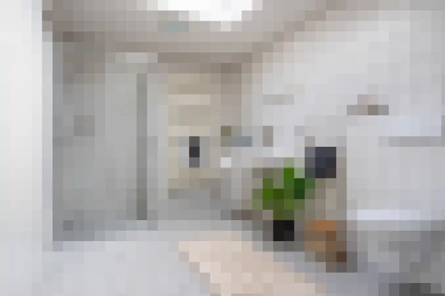 Floralaan 9 Lent thumbnail 20