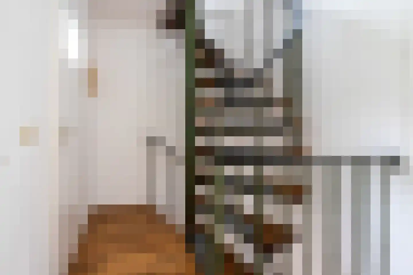 Floralaan 9 Lent thumbnail 25