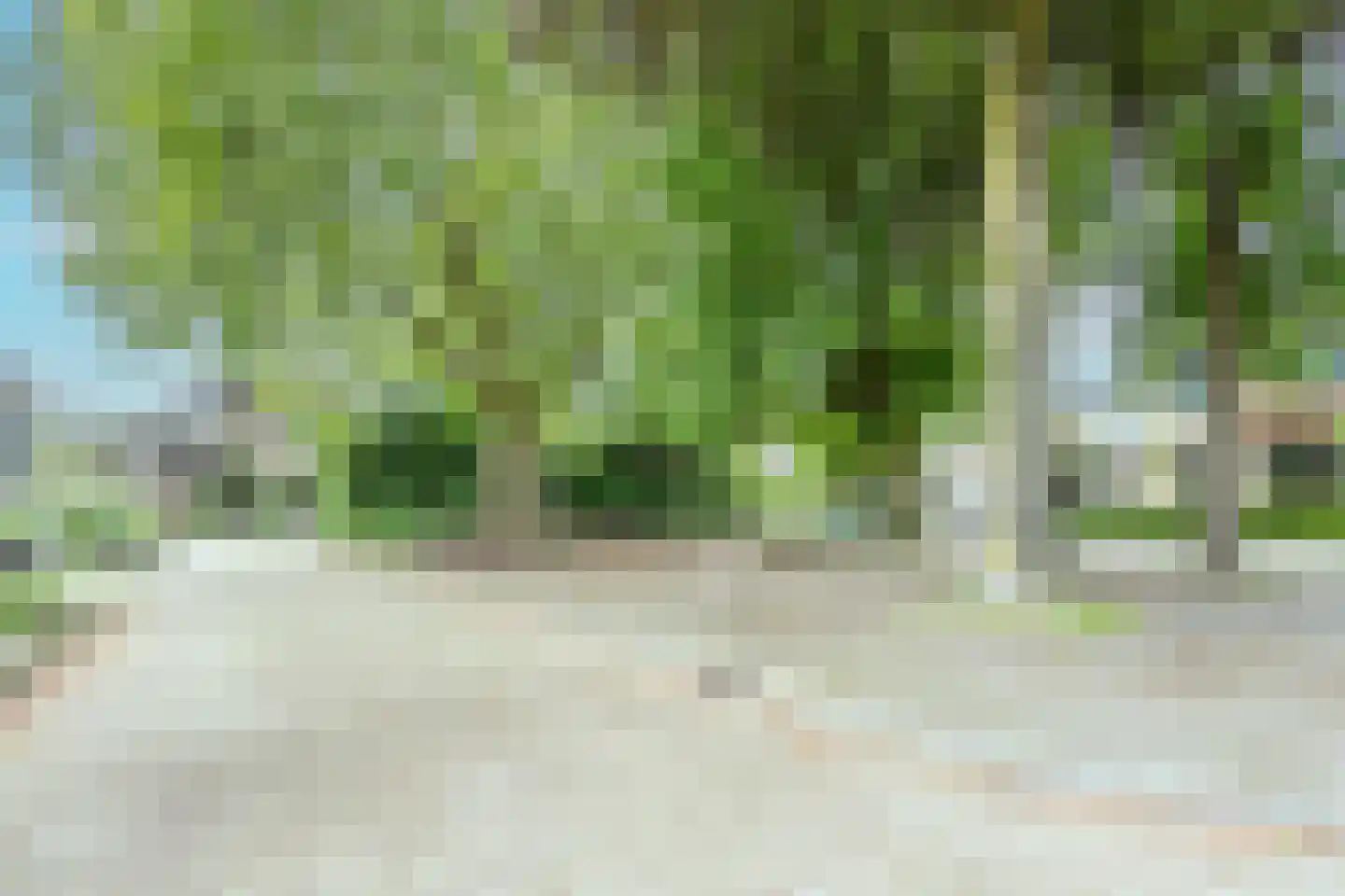 Floralaan 9 Lent thumbnail 55