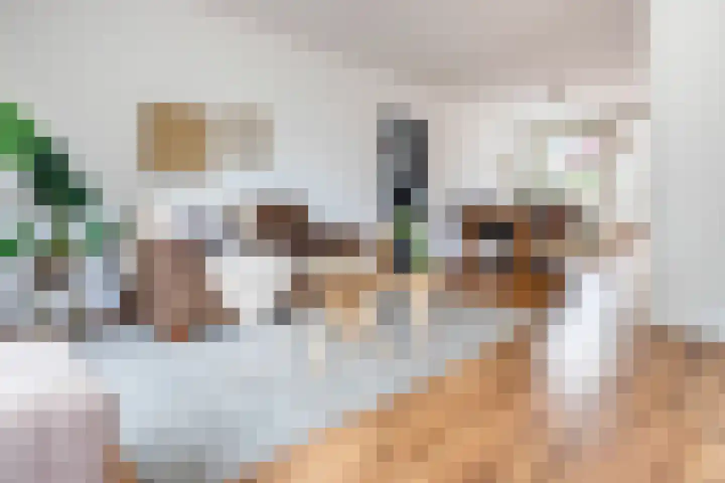 Floralaan 9 Lent thumbnail 7