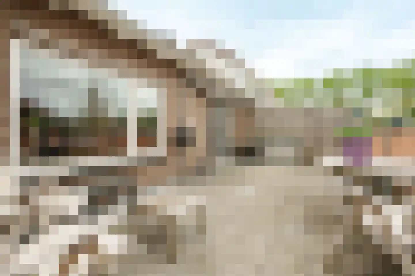 Floralaan 9 Wageningen thumbnail 39