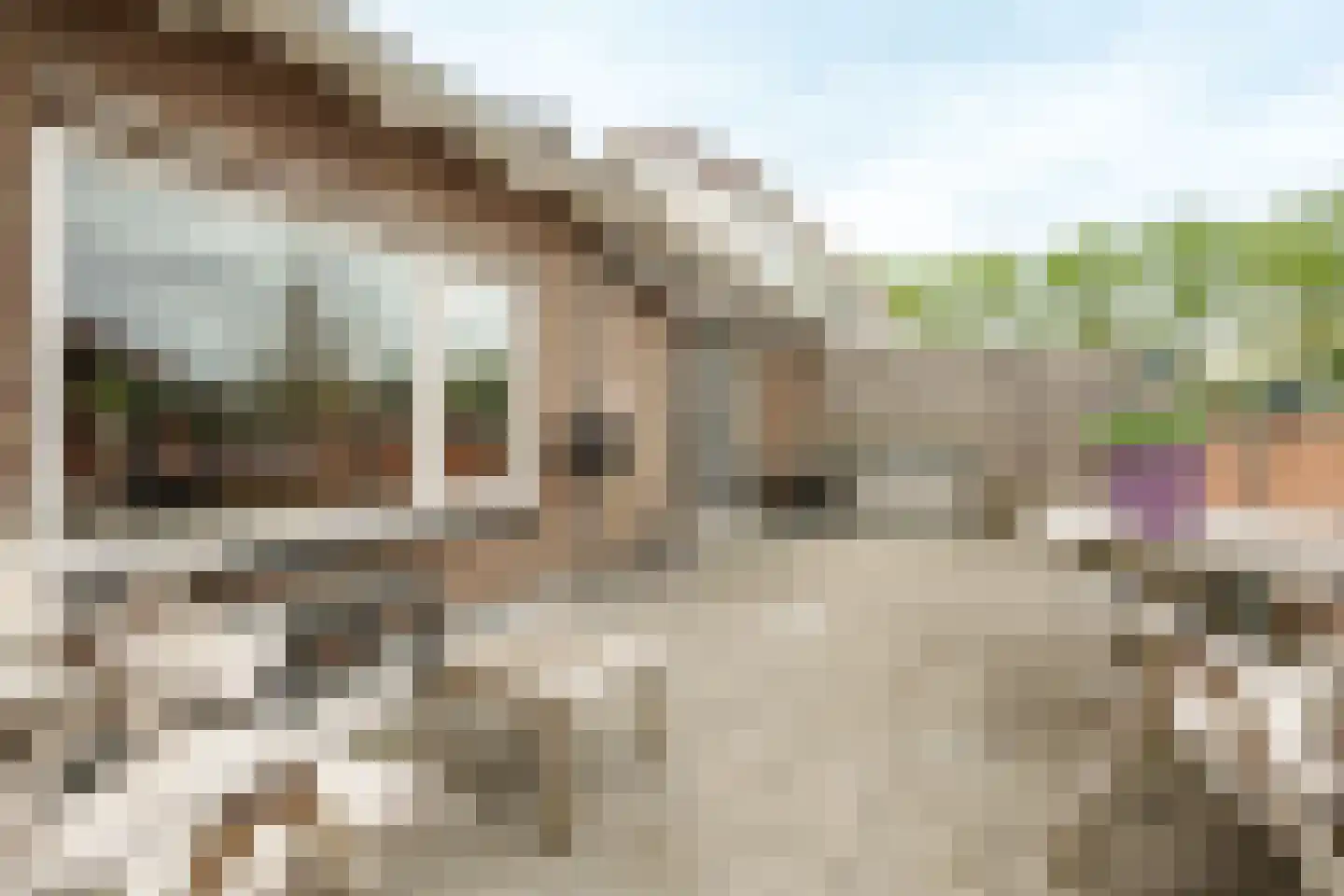 Floralaan 9 Wageningen thumbnail 4