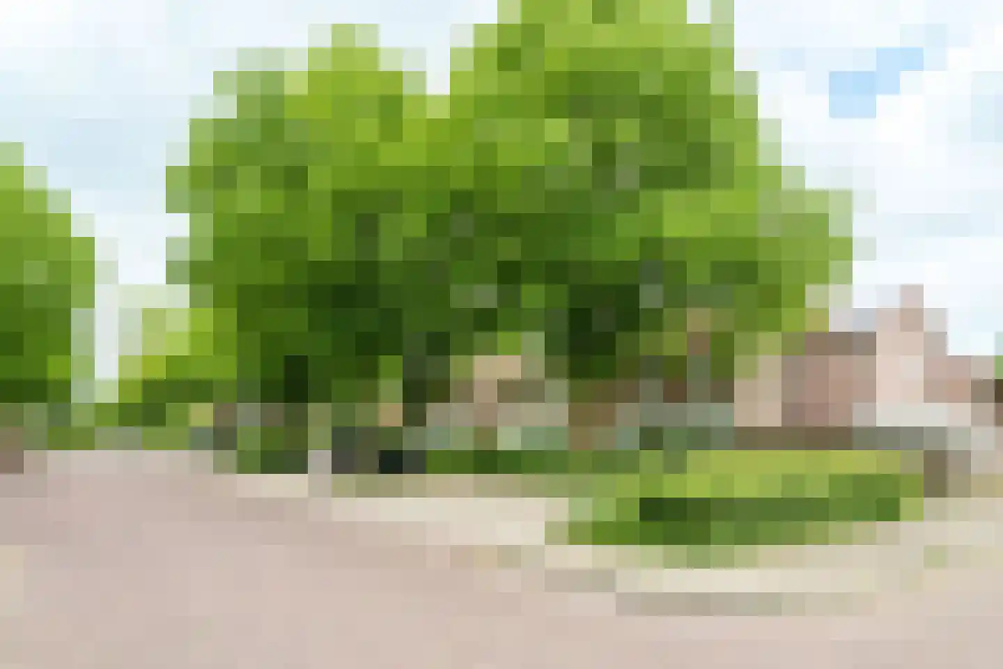 Floralaan 9 Wageningen thumbnail 42