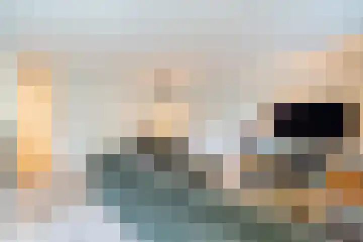 Floralaan 95 Oegstgeest thumbnail 11