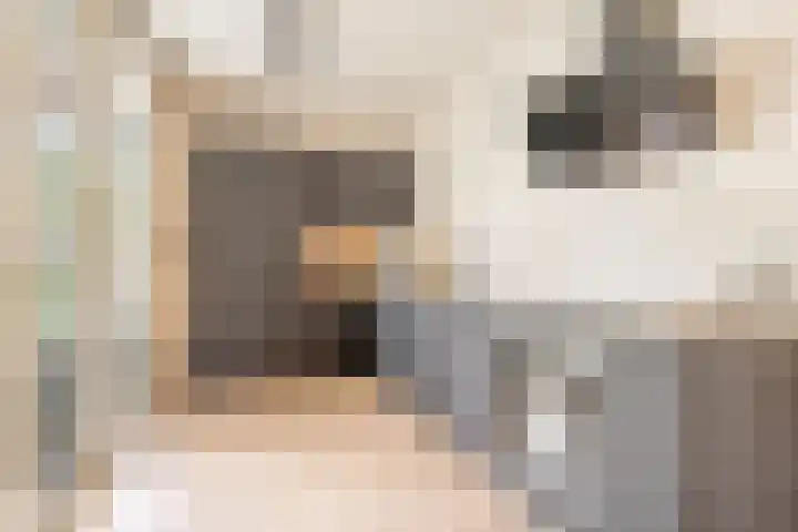 Floralaan 95 Oegstgeest thumbnail 17