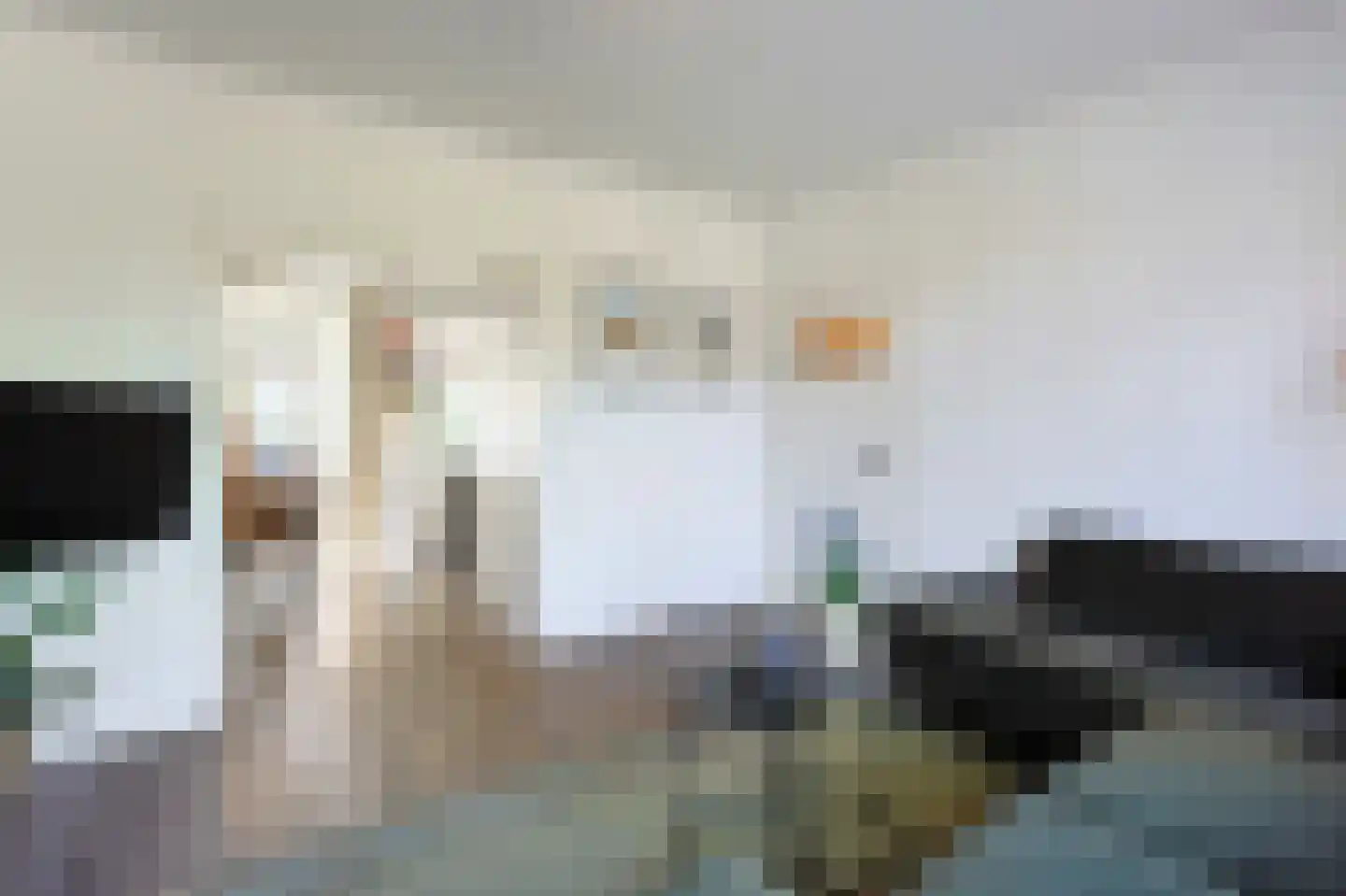 Floralaan Oost 48 Eindhoven thumbnail 14
