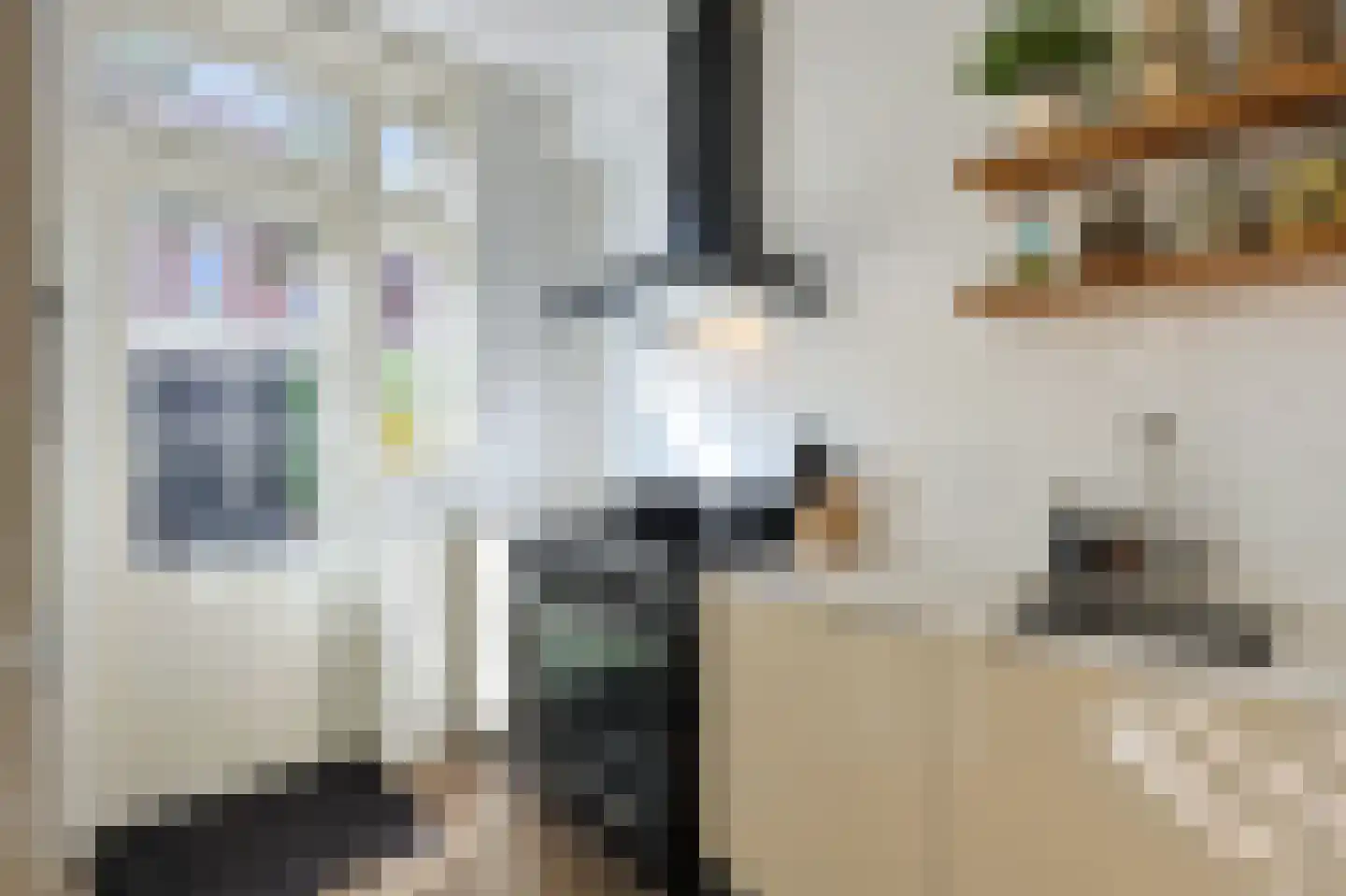 Floralaan Oost 48 Eindhoven thumbnail 22