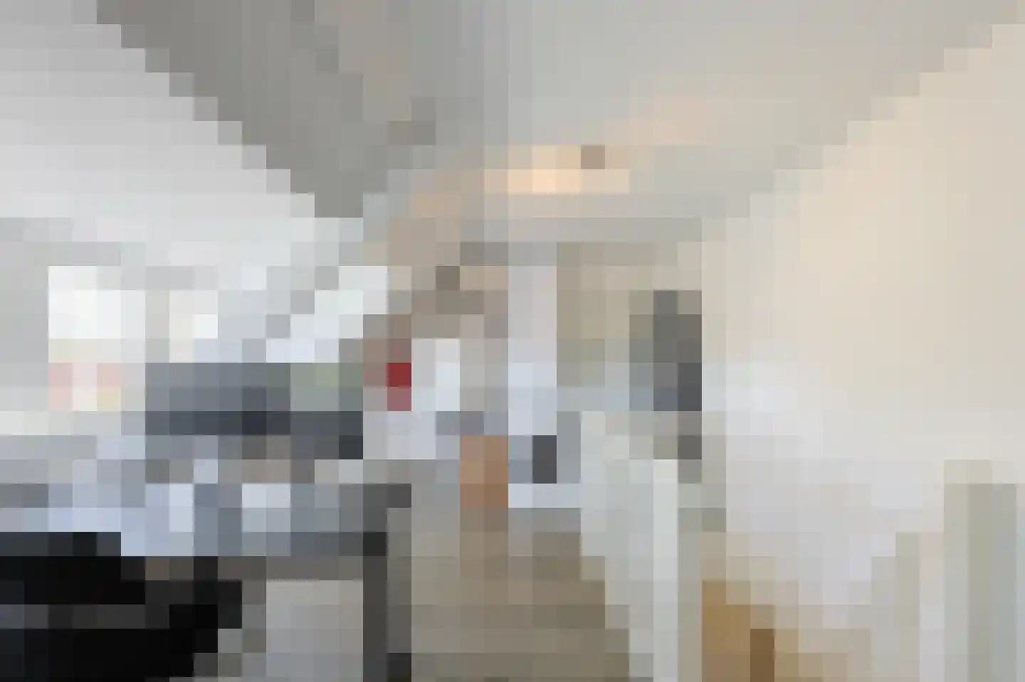 Floralaan Oost 48 Eindhoven thumbnail 60