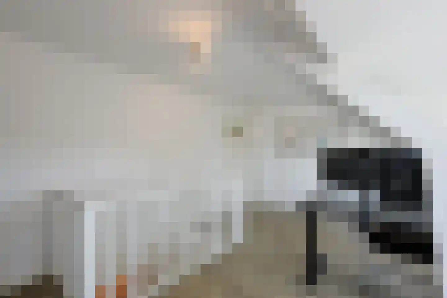Floralaan Oost 48 Eindhoven thumbnail 62