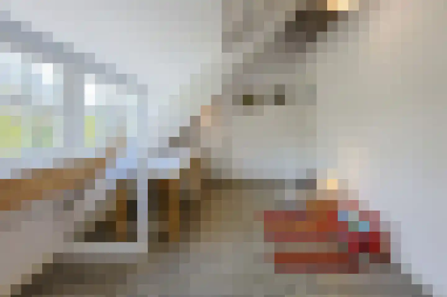 Floralaan Oost 48 Eindhoven thumbnail 65