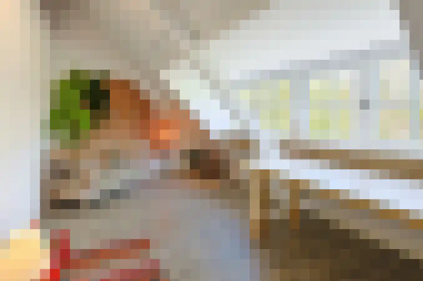 Floralaan Oost 48 Eindhoven thumbnail 66