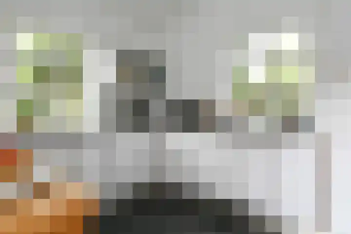 Floralaan West 193 Eindhoven thumbnail 13