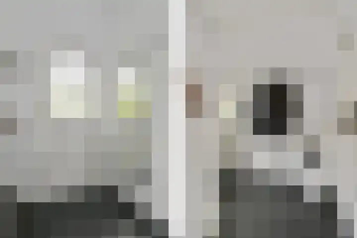 Floralaan West 193 Eindhoven thumbnail 15