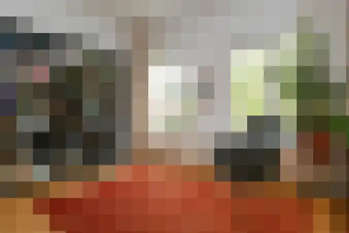 Floralaan West 193 Eindhoven thumbnail 22
