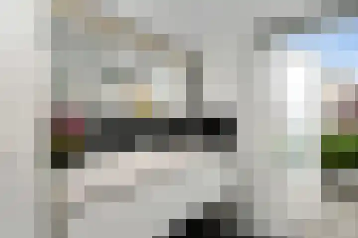 Floralaan West 193 Eindhoven thumbnail 24