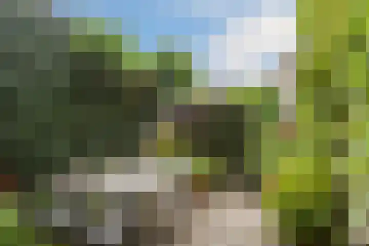 Floralaan West 193 Eindhoven thumbnail 32