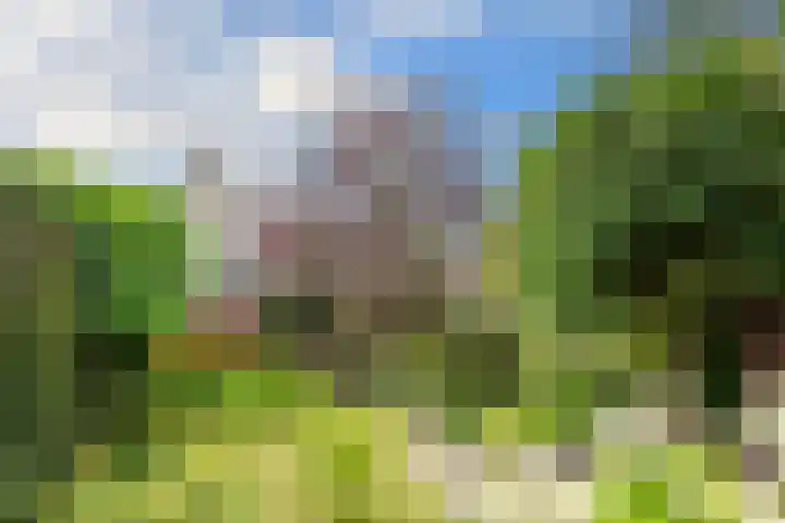 Floralaan West 193 Eindhoven thumbnail 33