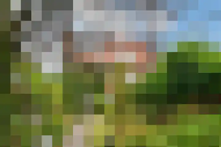 Floralaan West 193 Eindhoven thumbnail 34