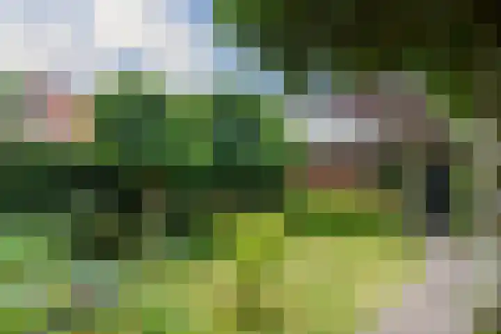 Floralaan West 193 Eindhoven thumbnail 35
