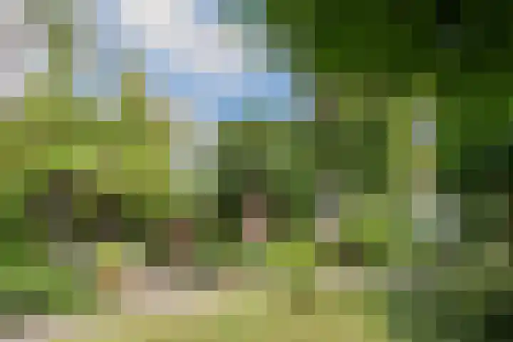 Floralaan West 193 Eindhoven thumbnail 36