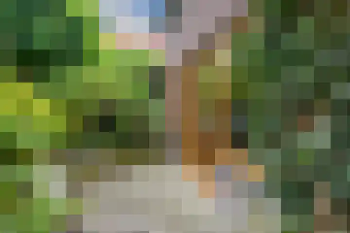 Floralaan West 193 Eindhoven thumbnail 37