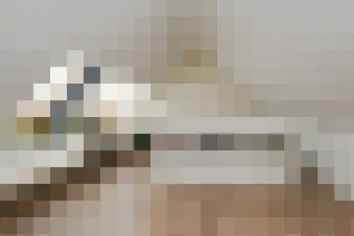 Floralaan West 193 Eindhoven thumbnail 43