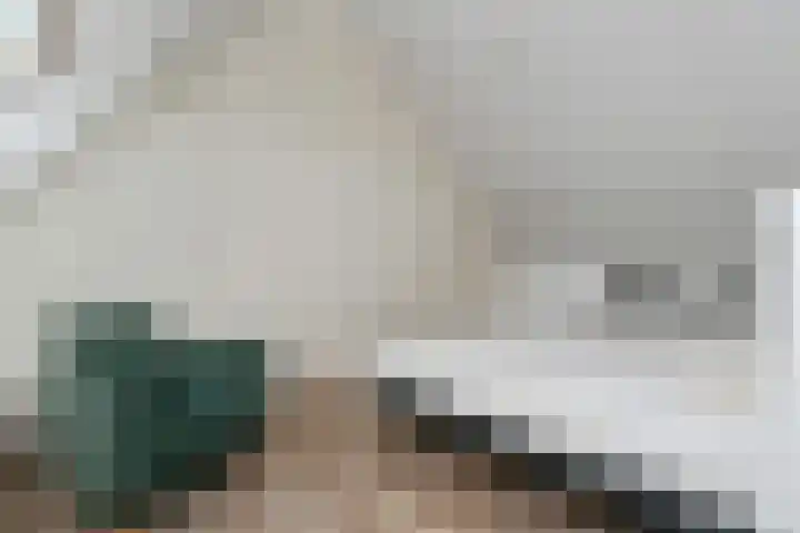 Floralaan West 193 Eindhoven thumbnail 44